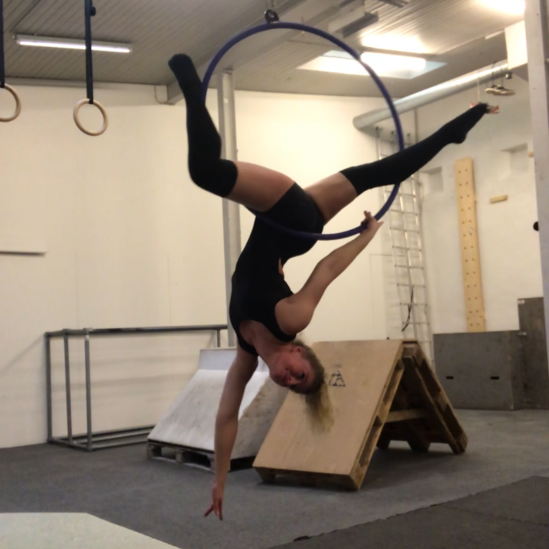 Aerial Hoop Julie